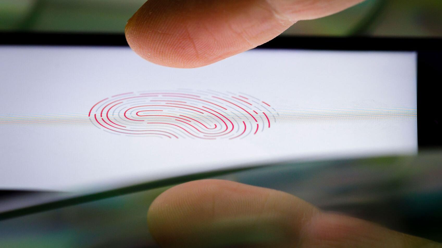 Fingerprint identification